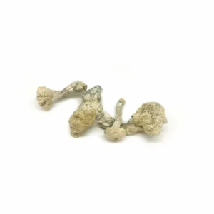 Buy Blue Meanies Mushroom Strain