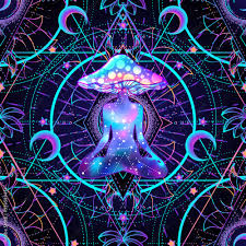 Shroomsdeliveryca