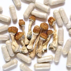 BUY SHROOM CAPSULES